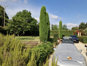 Photo de galerie - Paysagiste - Aménagement du jardin
