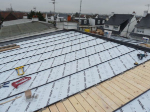 Photo de galerie - Toiture zinc