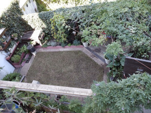 Photo de galerie - .
