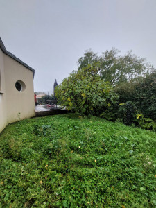 Photo de galerie - Tonte de pelouse - Débroussaillage