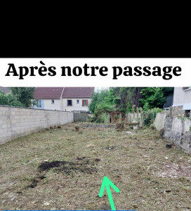 Photo de galerie - Tonte de pelouse - Débroussaillage