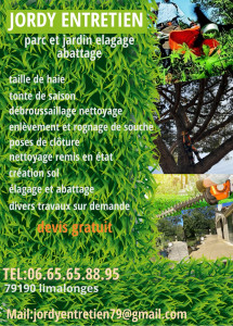 Photo de galerie - JORDY ENTRETIEN