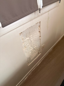 Photo de galerie - Mur 