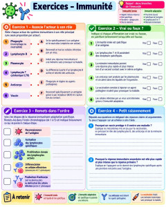 Photo de galerie - Soutien scolaire