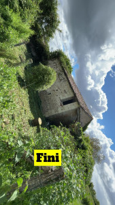 Photo de galerie - Débroussaillage fini
