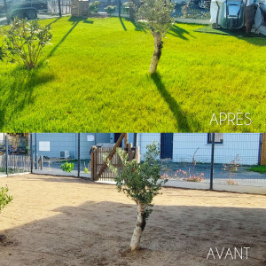 Photo de galerie - Engazonnement 