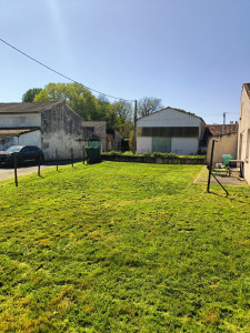 Photo de galerie - Après tonte