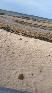 Photo de galerie - Dès que je peux je n’hésite pas 