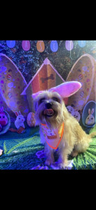 Photo de galerie - Luna