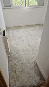 Photo de galerie - La dépose du lino 