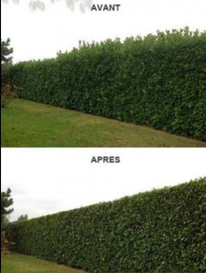 Photo de galerie - Bricolage et multi services