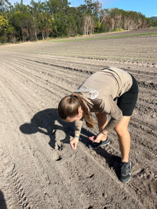 Photo de galerie - Jardinerie 