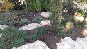 Photo de galerie - Remise en état d'un parc, création. 