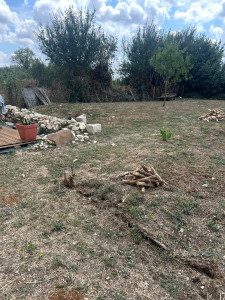 Photo de galerie - Paysagiste - Aménagement du jardin