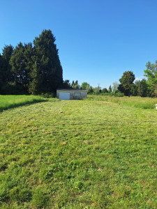 Photo de galerie - Tonte jardin