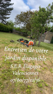 Photo de galerie - Tonte de pelouse + taille de haies 