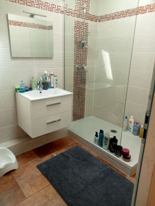 Photo de galerie - Nettoyage d'une salle de bain