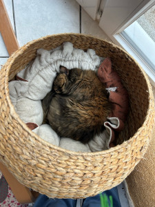 Photo de galerie - Garde animaux