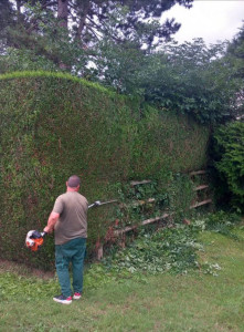 Photo de galerie - Taille de hais 