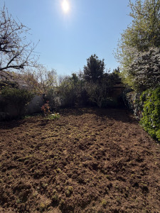 Photo de galerie - Paysagiste - Aménagement du jardin