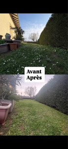 Photo de galerie - Avant : une pelouse haute, irrégulière, difficile à entretenir. Après : un terrain propre, net et agréable à vivre.