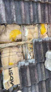 Photo de galerie - Isolation 