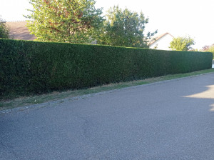 Photo de galerie - Fin de chantier 