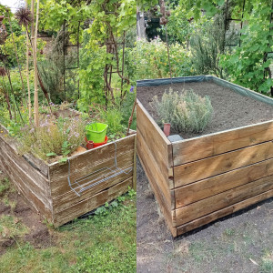 Photo de galerie - Potager 