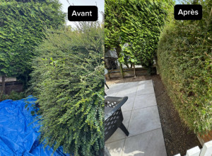 Photo de galerie - Désherbage + haie 