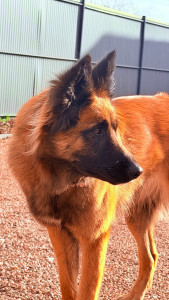 Photo de galerie - Stella 