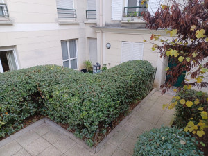 Photo de galerie - Taille de haies et d'arbustes