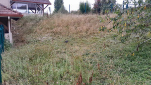 Photo de galerie - Talus avant 