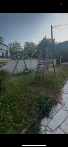 Photo de galerie - Tonte de pelouse - Débroussaillage