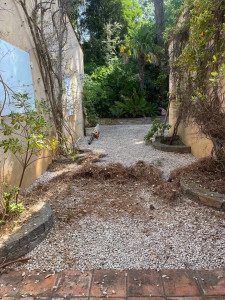 Photo de galerie - Entretien villa 