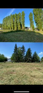 Photo de galerie - Elagage et coupe d'arbres