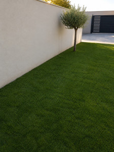 Photo de galerie - Aménagement de jardin avant 