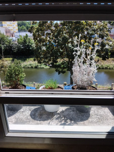 Photo de galerie - Paysagiste - Aménagement du jardin