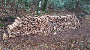 Photo de galerie - Paysagiste - Aménagement du jardin