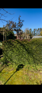 Photo de galerie - Après 