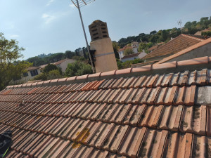 Photo de galerie - Rénovation du faîtage