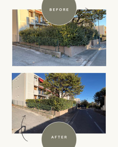 Photo de galerie - Réalisation d’une taille de haie dans une résidence, avec évacuation des déchets végétaux. 