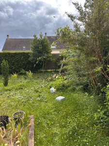Photo de galerie - Elagage et coupe d'arbres