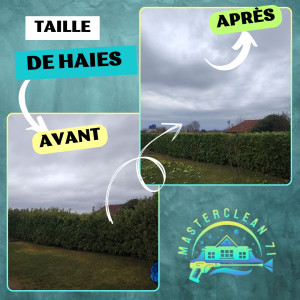 Photo de galerie - Avant après d'une taille de haies