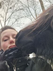 Photo de galerie - Paturage