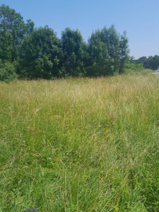 Photo de galerie - Debroussaillage 