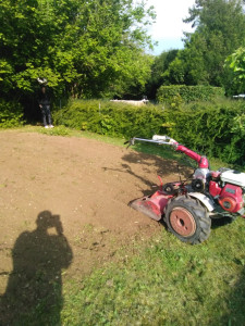 Photo de galerie - Potager ou creation de pelouse