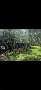 Photo de galerie - Jardinier