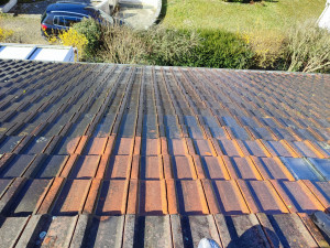 Photo de galerie - Lavage de toiture