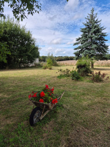 Photo de galerie - Tonte de pelouse - Débroussaillage