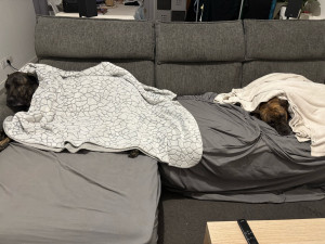 Photo de galerie - Après l’effort, le réconfort. ❤️